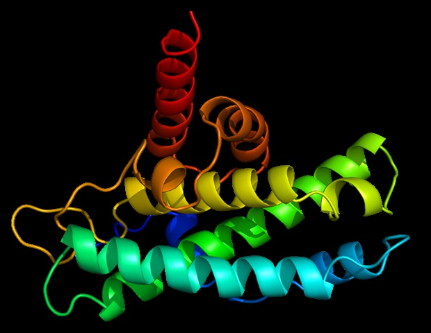 The oil-based solution allows protein drugs to be stored at room temperature