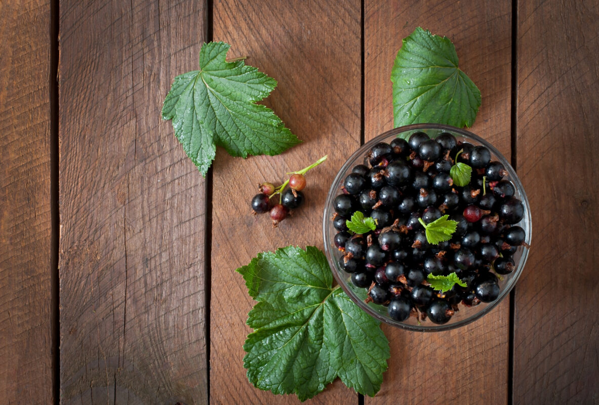 The juice of this “underrated” berry can help you lose weight and improve your metabolic health