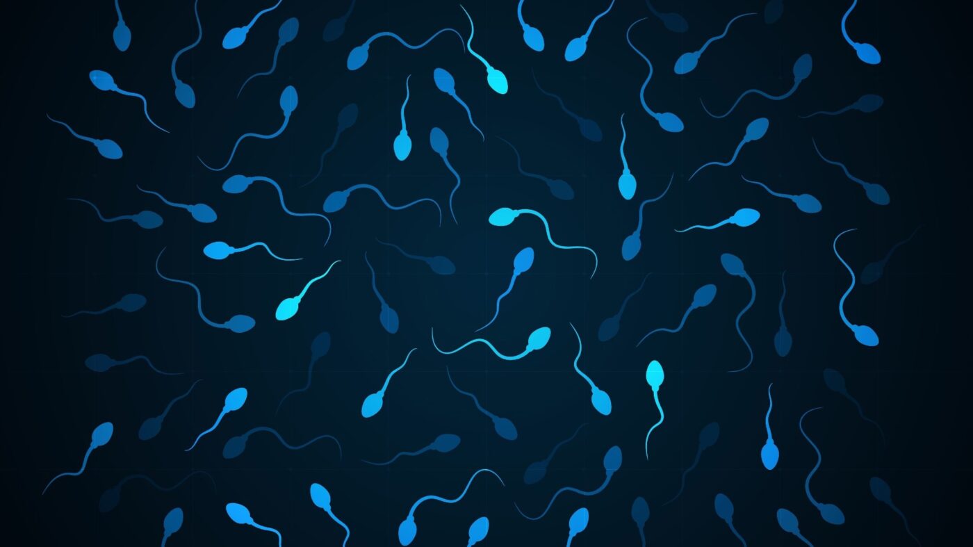 Low sperm quality associated with shorter life