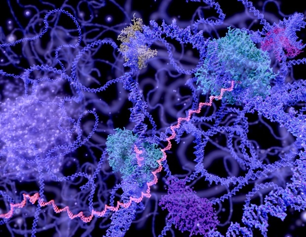 Understanding the role of LSD1 in cellular processes and diseases