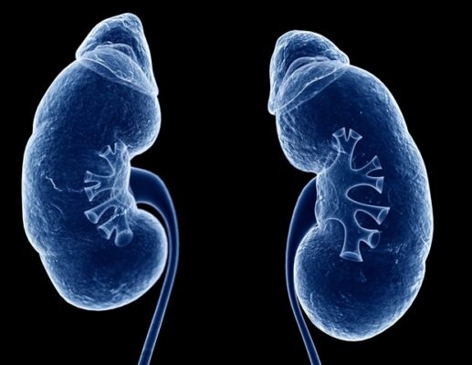 The new $ 15 million study is aimed at understanding the risk factors for cardiovascular and kidney disease in women