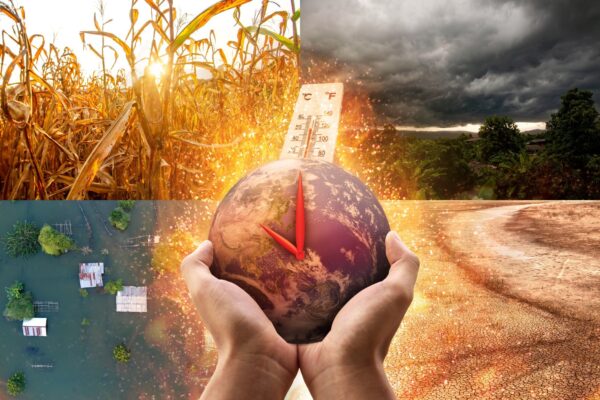 Most of today’s children can endure historical heat waves when the planet warms up