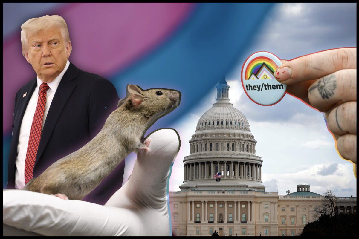 Trump pushes the overthrown theory of “transgender mice” when I thank the musk for “service”