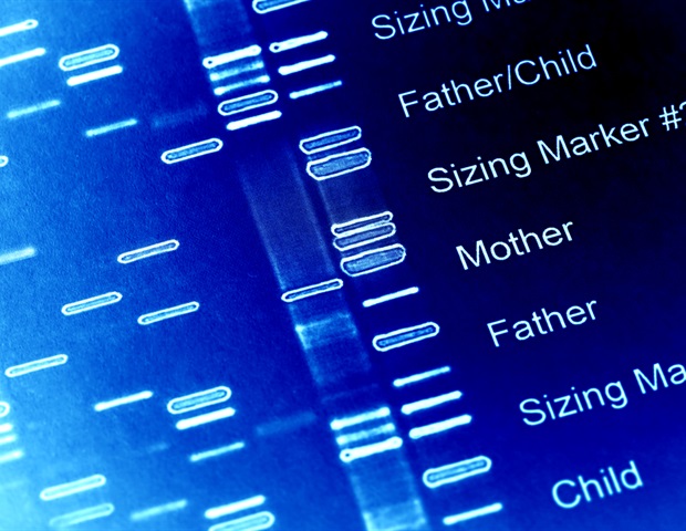 Discovery of a genetic dimmer switch controlling the embryonic development