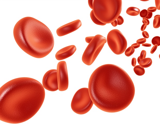 Fast generating functional blood vessels from human stem cells