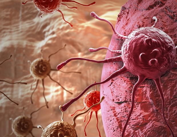 Self -control tests can be a solution to increase access to screening in the field of cervical cancer