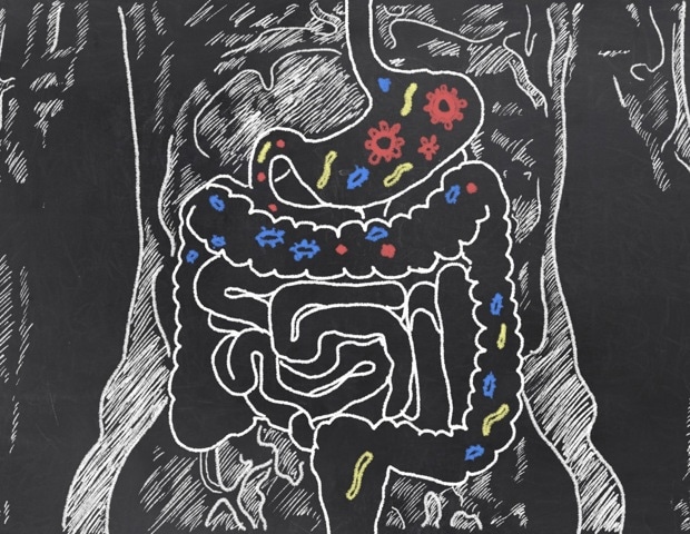 Intestinal bacteria produce hormone -like proteins that regulate blood sugar weight and level