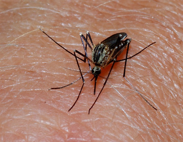 The elimination of malaria in Suriname offers hope for Amazon neighbors