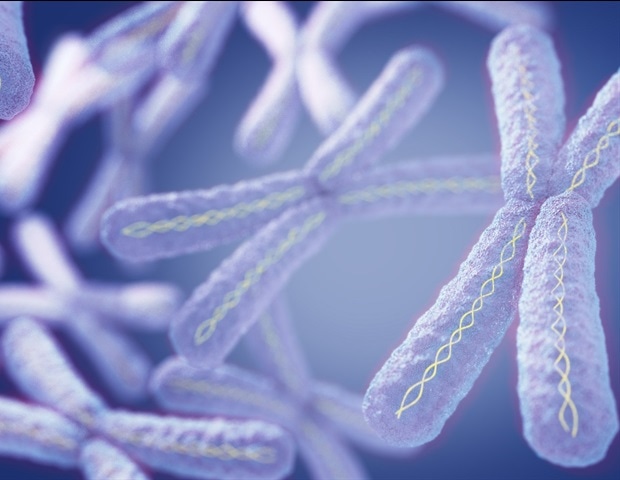 The reactivation of the silent genes offers hope for the treatment of Rett syndrome