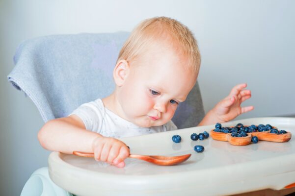 Berry -fed infants show fewer allergy symptoms and increased the immune balance