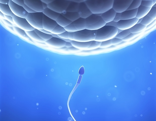 Cornell researchers develop a device to simplify fertility treatment