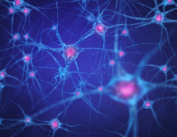 Mount Sinai study Maps Sienny production of the washed pathogeans Alzheimer