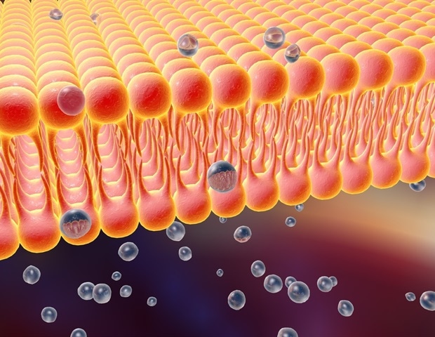 Partner Axxam and B’Sys to extend access to verified ion channel cell lines for high capacity electrophysiology