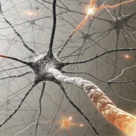 The early response of cell B