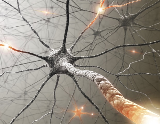 The early response of cell B