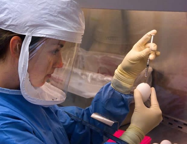 Multilateral cooperation remains crucial as global health financing changes