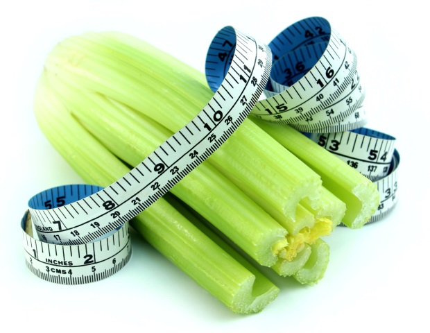Research has shown that dietary fat dictates seasonal eating patterns