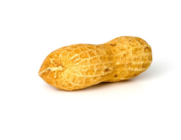 Simple tools increase pediatrician compatibility with guidelines for preventing allergies to early peanuts